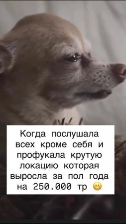 когда послушала всех кроме себя...