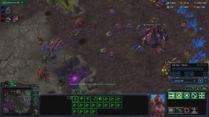 StarCraft2_Инфесторо-плётки (Грейдо-Раш)