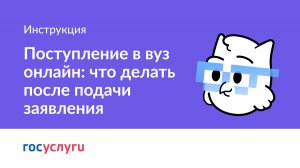 Поступление в вуз онлайн: что делать после подачи заявления