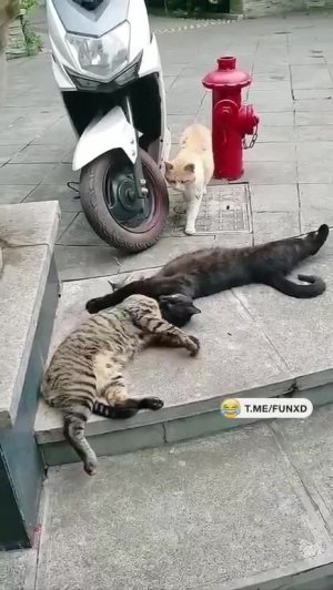 Муж вернулся😁