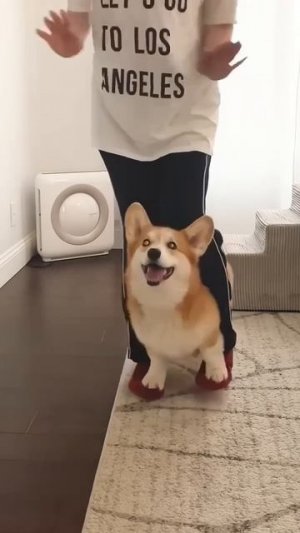 @mix_shorts_