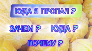 КУДА Я ПРОПАЛ?