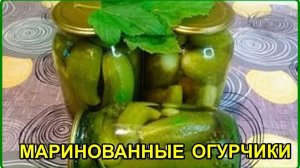 Готовимся к зиме  -- Очень вкусные МАРИНОВАННЫЕ ОГУРЧИКИ    рецепт проверенный годами