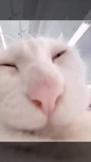 Вот это скорость)))