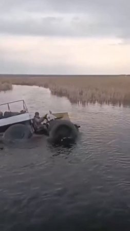 Смешные Shorts
