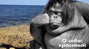 ЛФК_70+ Зима 07.01.2025