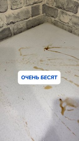 Бесят