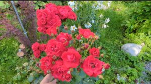 01-08-2025.Дача.красивая Беседка достроена!Щебень на дорогу..соседи молодцы!!!