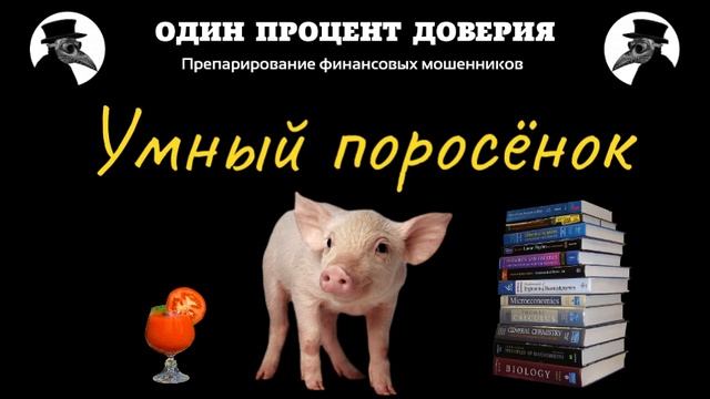 Умный поросёнок, или Звонок из прошлого смотреть онлайн