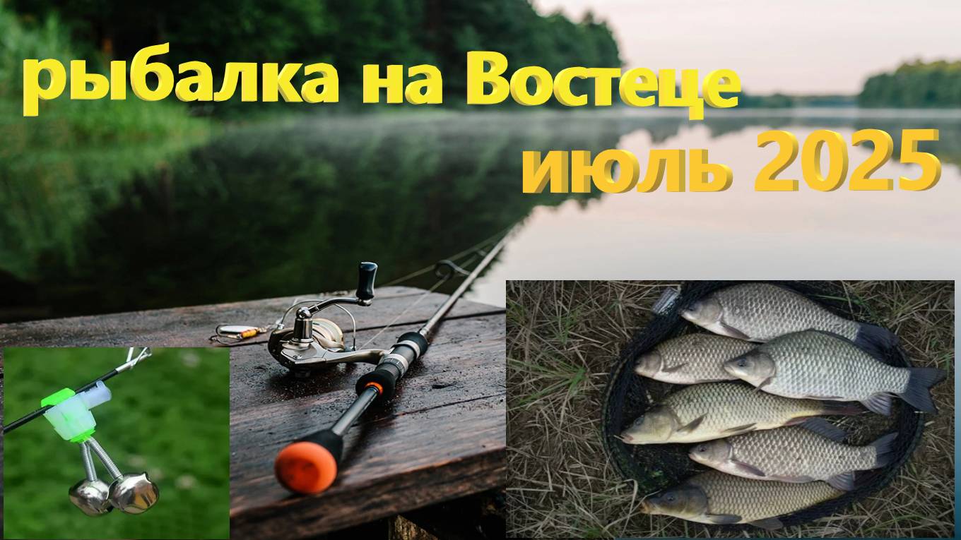 Рыбалка на ПОПЛАВОК и на ДОНКИ на реке Востец в середине июля 2025!!! смотреть онлайн