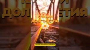#БлагоВест ✴ КЛЮЧИ ДОЛГОЛЕТИЯ