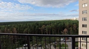 Тест камеры Honor 400 pro