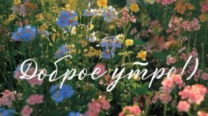 Красивые открытки доброго дня и хорошего настроения 🦋