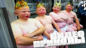 Я РЖАЛ до СЛЕЗ 😂 Смешные Видео Лучшие ПРИКОЛЫ  Смешные  ПРИКОЛЫ 2025🤣