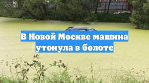 В Новой Москве машина утонула в болоте