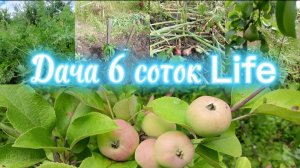 ДАЧА 6 СОТОК// ПОТИХОНЬКУ РАСЧИЩАЕМ, ОБЛАГОРАЖИВАЕМ ЗАБРОШЕННЫЙ УЧАСТОК// НАША ЗАБРОШКА