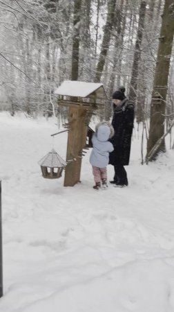 1 января Прогулка по лесу 🎄🌲🎄🌲🎄