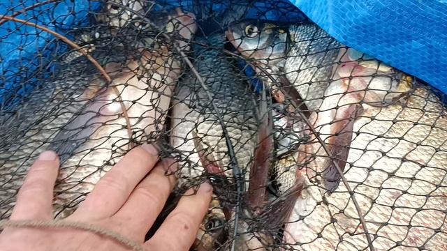 Улов на донки за четыре часа смотреть онлайн