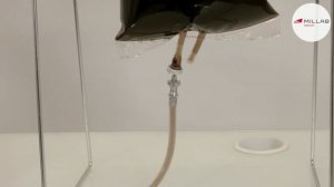 Перистальтический насос DOSYWEL