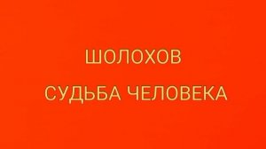Шолохов, Судьба человека, краткое содержание