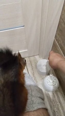 Подпишись и поставь лайк