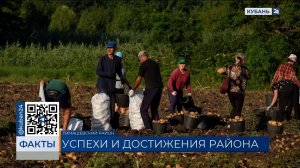 Тимашевские казаки вошли в число лидеров по производству сельхозпродукции