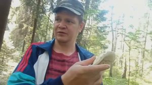 Скрипица съедобна или нет делаем эксперимент