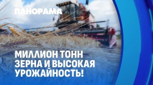Первый миллион тонн зерна: Беларусь наращивает темпы уборочной. Панорама