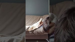 стрим заходи пообщаемся