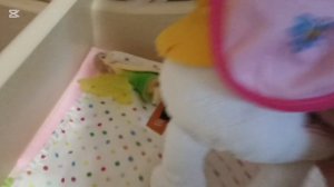 вечерний влог 🪇 с кошечкой Лили 🫛