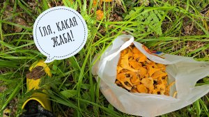 Летняя прогулка к лесной речке по весенним местам. Почему я летом не хожу в дальние дали?