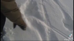 снежный человек в Ярославской области