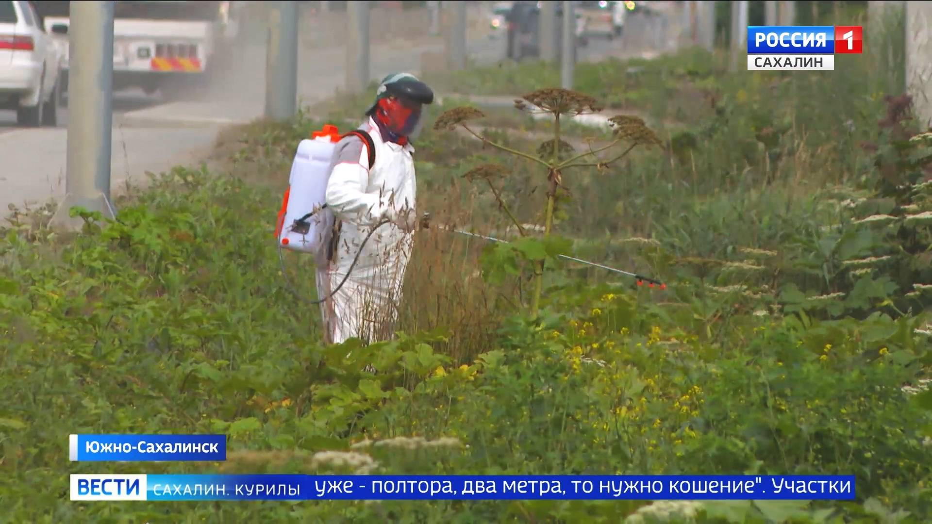 "Вести. Сахалин. Курилы". 22 июля 2025 года смотреть онлайн