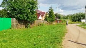 Словно там киты, дельфины