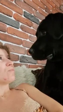 Ты же всё это время умела разговаривать