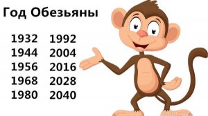 Мужчина Обезьяна