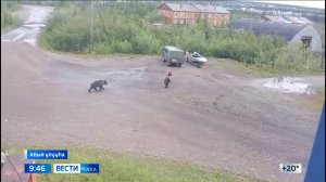 09:30 ВЕСТИ САХА 23/07/25 НА ЯКУТСКОМ ЯЗЫКЕ