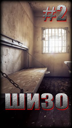 ШИЗО #2