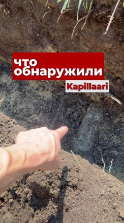 Схема участка = никакой самодеятельности.