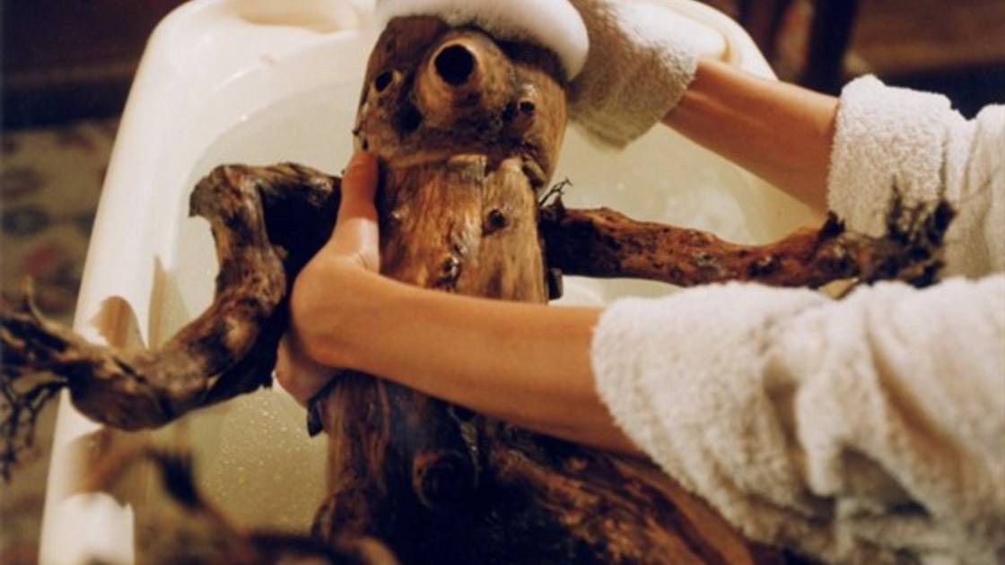 Полено (2000) / Otesanek