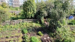 Утро в деревне, деревенская жизнь