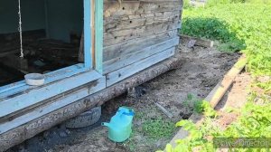 Жизнь в глубинке. Начинается ремонт летней кухни.