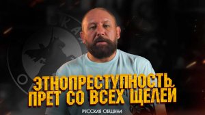 Этнопреступность прет со всех щелей #новости #россия #русскаяобщина