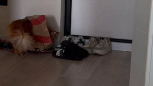 Осторожно,  двери закрываются.