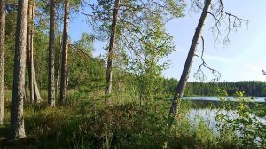 Медвежьегорск. Медвежьегорский район. Озеро Нижний Тунат.