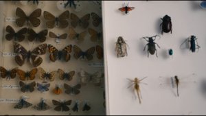 Галичья гора