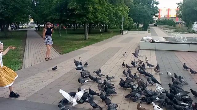 Забота о пернатых друзьях! смотреть онлайн