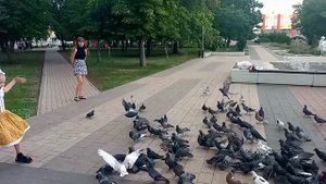 Полина и голуби!!!