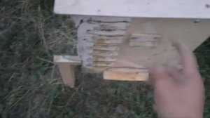 Снимаю рой,расширяю пасеку.