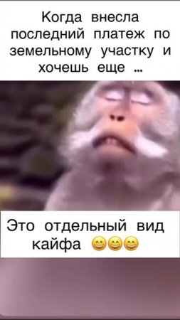 кайф. это отдельный кайф